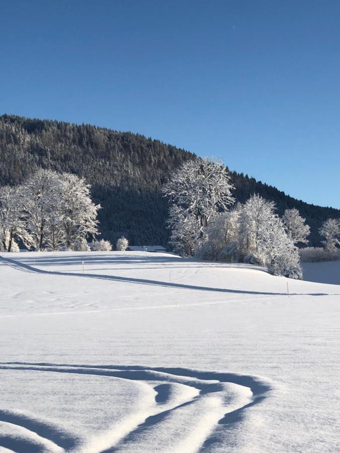 Lindenhof Inzell - Fewo Mit Chiemgaukarte Eksteriør billede
